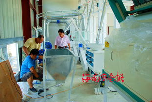 中建農(nóng)場(chǎng)投資興建南呂香大米加工廠(chǎng)的投資管理策略與實(shí)踐